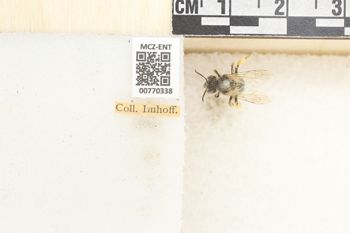 Media type: image;   Entomology 770338 Aspect: Labels
